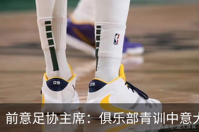 前意足协主席：俱乐部青训中意大利人只有30% 意大利本该进世界杯